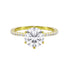 Round Diamond Solitaire Pavé Band Engagement Ring-Engagement Ring-Ashley Schenkein Jewelry Design